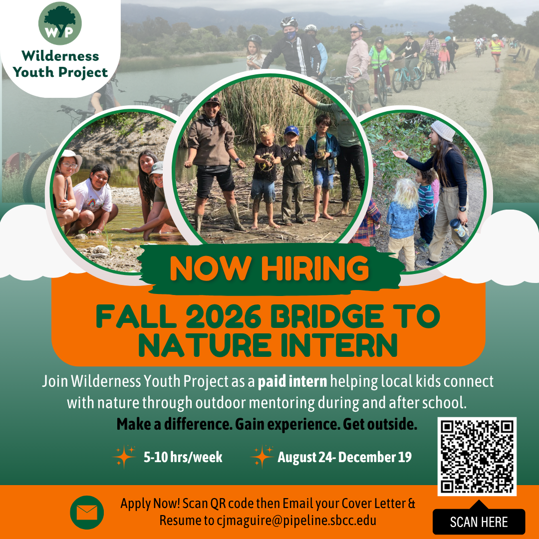 WYP Internship